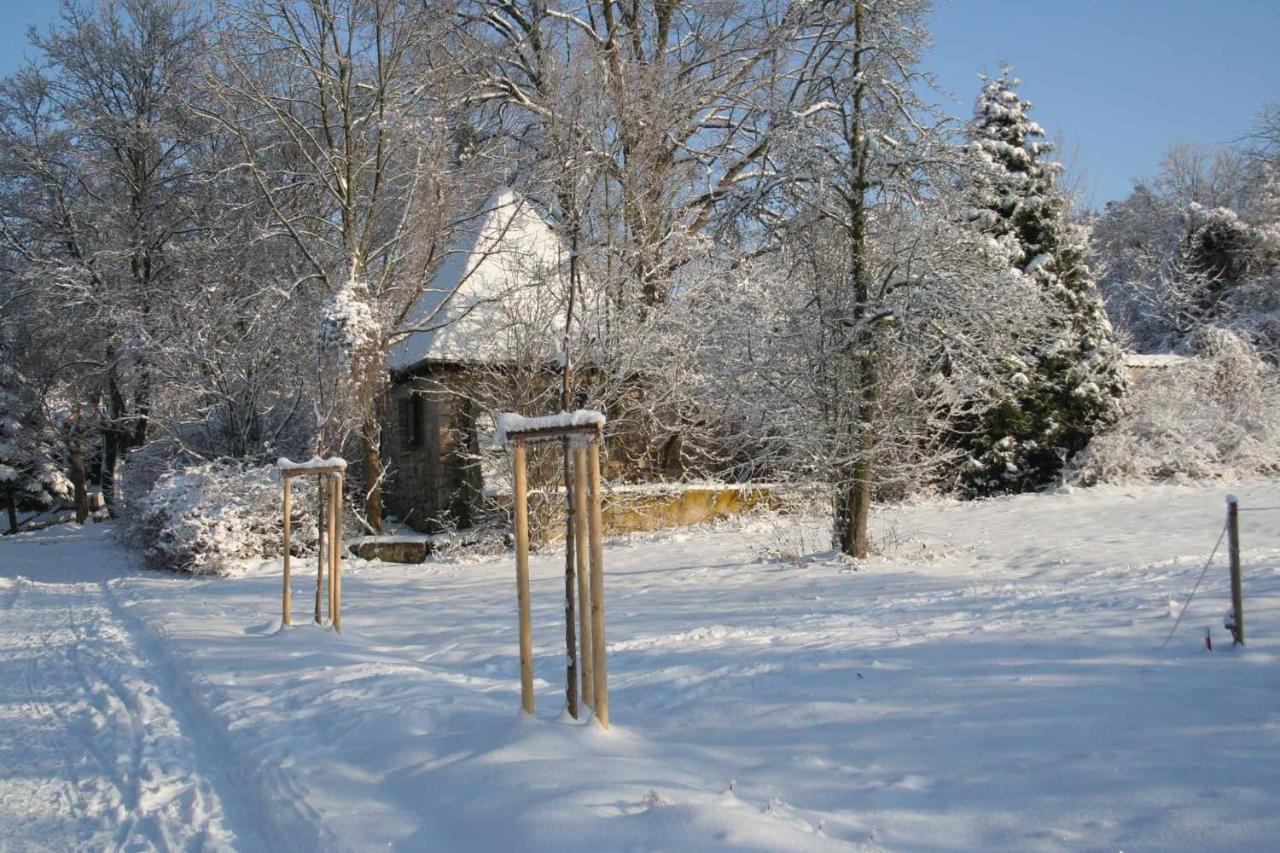 Hotel Und Restaurant Rittergut Kreipitzsch Naumburg  Kültér fotó